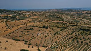Αγροτεμάχια 6.246 τ.μ. για πώληση, Αργολίδα, Κρανίδι-thumb-9