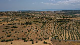 Αγροτεμάχια 6.246 τ.μ. για πώληση, Αργολίδα, Κρανίδι-thumb-8