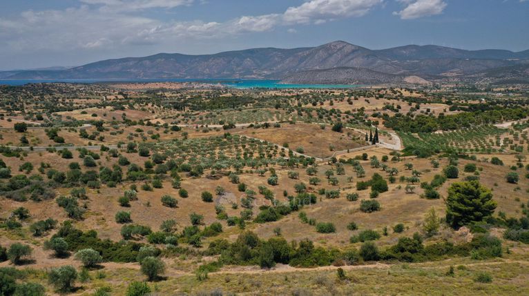 Αγροτεμάχια 6.246 τ.μ. για πώληση, Αργολίδα, Κρανίδι