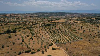 Αγροτεμάχια 6.246 τ.μ. για πώληση, Αργολίδα, Κρανίδι-thumb-15