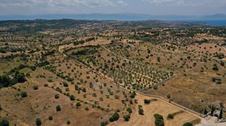Αγροτεμάχια 6.246 τ.μ. για πώληση, Αργολίδα, Κρανίδι-thumb-7