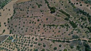 Αγροτεμάχια 6.246 τ.μ. για πώληση, Αργολίδα, Κρανίδι-thumb-5