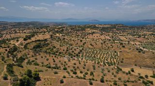 Αγροτεμάχια 6.246 τ.μ. για πώληση, Αργολίδα, Κρανίδι-thumb-14