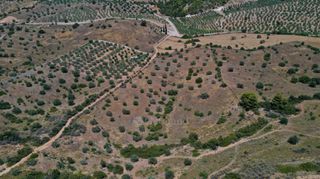 Αγροτεμάχια 6.246 τ.μ. για πώληση, Αργολίδα, Κρανίδι-thumb-6