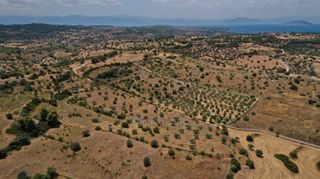 Αγροτεμάχια 6.246 τ.μ. για πώληση, Αργολίδα, Κρανίδι-thumb-4