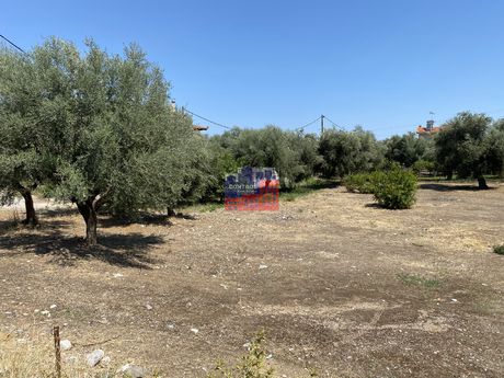 Οικόπεδο 1.500 τ.μ. για πώληση