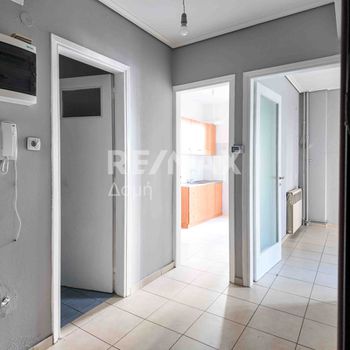 Studio 35 sqm for rent
