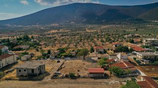 Οικόπεδο 810 τ.μ. για πώληση, Αργολίδα, Κρανίδι-thumb-12