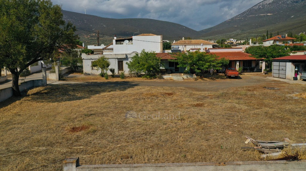 Οικόπεδο 810 τ.μ. προς πώληση, Δίδυμα