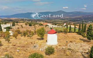 Κτίριο 10.000 τ.μ. για πώληση, Αργολίδα, Κρανίδι-thumb-11