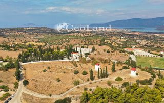 Κτίριο 10.000 τ.μ. για πώληση, Αργολίδα, Κρανίδι-thumb-10
