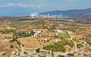 Κτίριο 10.000 τ.μ. για πώληση, Αργολίδα, Κρανίδι-thumb-9