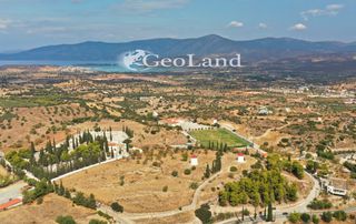 Κτίριο 10.000 τ.μ. για πώληση, Αργολίδα, Κρανίδι-thumb-8