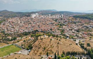 Κτίριο 10.000 τ.μ. για πώληση, Αργολίδα, Κρανίδι-thumb-4