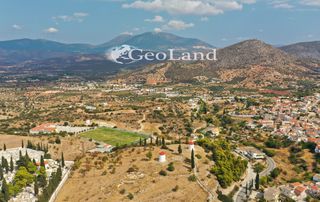 Κτίριο 10.000 τ.μ. για πώληση, Αργολίδα, Κρανίδι-thumb-7