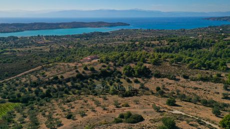 Αγροτεμάχια 6.090 τ.μ. για πώληση