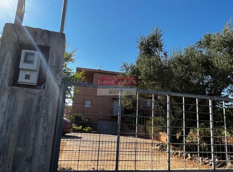 Μονοκατοικία 407 τ.μ. πρός πώληση