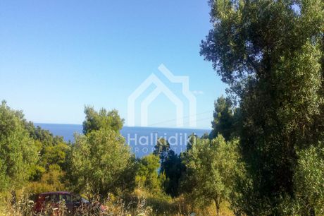 Αγροτεμάχια 9.427τ.μ. για πώληση-Κασσάνδρα » Κασσανδρηνό