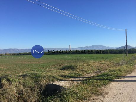Αγροτεμάχια 7.000τ.μ. για πώληση-Νέα κίος
