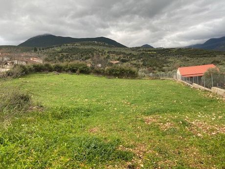 Οικόπεδο 1.600 τ.μ. για πώληση