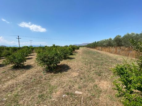 Οικόπεδο 9.500 τ.μ. για πώληση