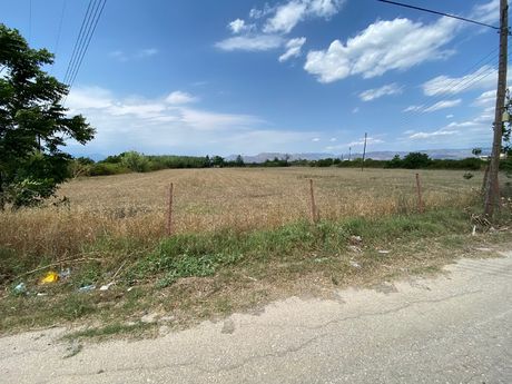 Αγροτεμάχια 10.000 τ.μ. για πώληση