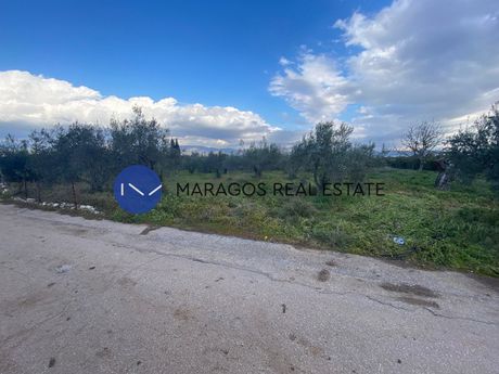 Οικόπεδο 636τ.μ. για πώληση-Μιδέα » Ηραίο