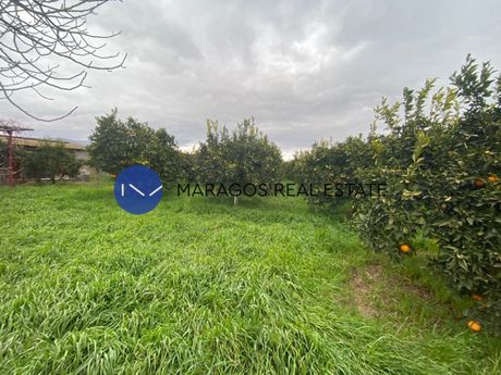Αγροτεμάχια 4.500τ.μ. για πώληση-Άργος