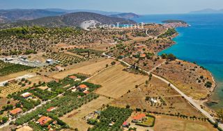 Αγροτεμάχια 14.256 τ.μ. για πώληση, Αργολίδα, Ερμιόνη-thumb-12