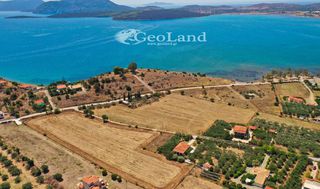 Αγροτεμάχια 14.256 τ.μ. για πώληση, Αργολίδα, Ερμιόνη-thumb-4
