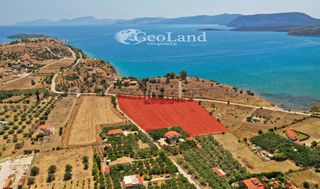 Αγροτεμάχια 14.256 τ.μ. για πώληση, Αργολίδα, Ερμιόνη-thumb-1
