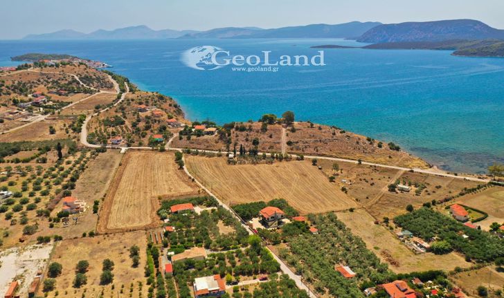 Αγροτεμάχια 14.256 τ.μ. για πώληση, Αργολίδα, Ερμιόνη