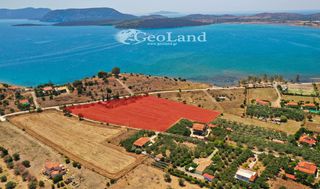 Αγροτεμάχια 14.256 τ.μ. για πώληση, Αργολίδα, Ερμιόνη-thumb-3