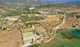 Αγροτεμάχια 14.256 τ.μ. για πώληση, Αργολίδα, Ερμιόνη-thumb-15
