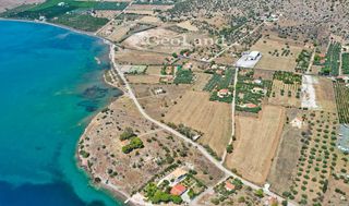 Αγροτεμάχια 14.256 τ.μ. για πώληση, Αργολίδα, Ερμιόνη-thumb-20