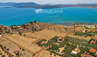 Αγροτεμάχια 14.256 τ.μ. για πώληση, Αργολίδα, Ερμιόνη-thumb-5