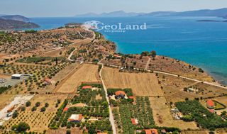 Αγροτεμάχια 14.256 τ.μ. για πώληση, Αργολίδα, Ερμιόνη-thumb-9