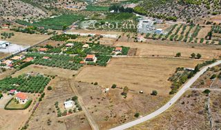 Αγροτεμάχια 14.256 τ.μ. για πώληση, Αργολίδα, Ερμιόνη-thumb-17