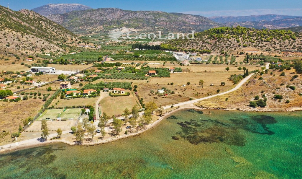 Αγροτεμάχια 14.256 τ.μ. πρός πώληση, Αργολίδα, Ερμιόνη