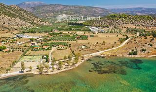 Αγροτεμάχια 14.256 τ.μ. για πώληση, Αργολίδα, Ερμιόνη-thumb-2