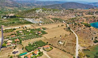 Αγροτεμάχια 14.256 τ.μ. για πώληση, Αργολίδα, Ερμιόνη-thumb-14