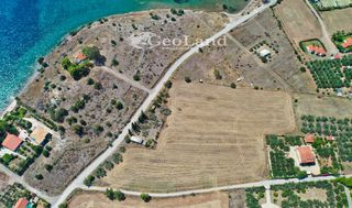 Αγροτεμάχια 14.256 τ.μ. για πώληση, Αργολίδα, Ερμιόνη-thumb-24