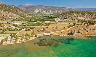 Αγροτεμάχια 14.256 τ.μ. για πώληση, Αργολίδα, Ερμιόνη-thumb-16