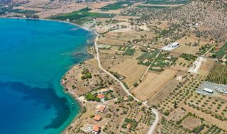 Αγροτεμάχια 14.256 τ.μ. για πώληση, Αργολίδα, Ερμιόνη-thumb-23