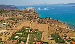 Αγροτεμάχια 14.256 τ.μ. για πώληση, Αργολίδα, Ερμιόνη-thumb-10