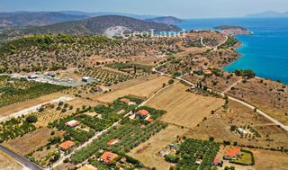 Αγροτεμάχια 14.256 τ.μ. για πώληση, Αργολίδα, Ερμιόνη-thumb-11