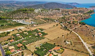 Αγροτεμάχια 14.256 τ.μ. για πώληση, Αργολίδα, Ερμιόνη-thumb-13