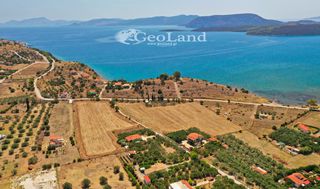 Αγροτεμάχια 14.256 τ.μ. για πώληση, Αργολίδα, Ερμιόνη-thumb-7