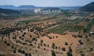 Αγροτεμάχια 18.323 τ.μ. για πώληση