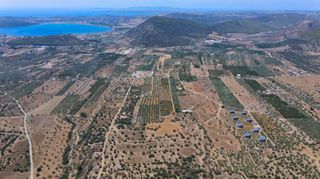 Αγροτεμάχια 18.323 τ.μ. για πώληση, Αργολίδα, Ερμιόνη-thumb-6